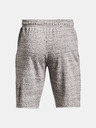 Under Armour Project Rock Terry Shorts