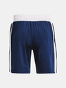 Under Armour UA Project Rock Boxing Shorts